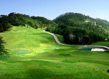 Hotel Valley View Shimla